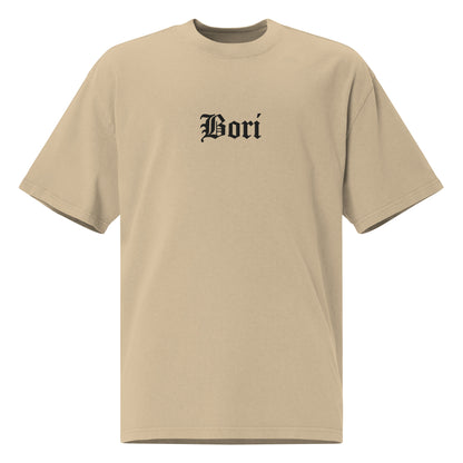 Bori Embroidered Oversized faded t-shirt